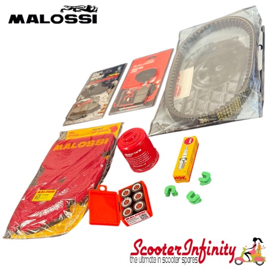 Maintenance Service Kit Malossi Performance (Vespa GTS/GTS Super/GTS Super Sport/GTV 300cc 4-stroke LC i.e.)
