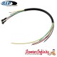 Stator Plate Wiring Wires SIP Premium (With E-start) (Vespa PX 80-200 E Lusso/EFL/Arcobaleno/Elestart - Year 1997) Stator Plate Wiring Wires SIP Premium (With E-start) (Vespa PX 80-200 E Lusso/EFL/Arcobaleno/Elestart - Year 1997)