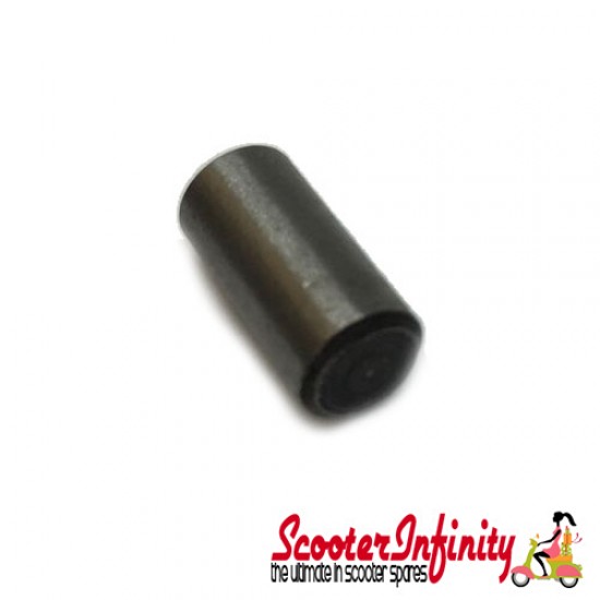 Chaincase Crankcase End Plate Dowl (Lambretta)