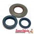 Oil Seal Kit Set Engine (24x35x6/ 31x62x4,3x5,8/ 27x42x10 mm, blue/blue/brown metal) (Vespa PX80-200 E Lusso 2? /`98`MY`11/T5/Cosa)