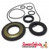 Oil Seal & O Ring Kit Set with 30mm Rear Hub Seal (VESPA P 125X ACROBALENO 125TS P200E) from 1983