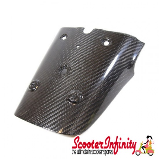 Number Plate Holder Vespa GTS Super / GTV (Carbon)