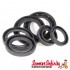 Oil Seal Kit Set (Lambretta 125 LI 2?-3?/LIS /150 LI 2?-3?/LIS/SX/175 TV 2?-3?/200 SX/TV)