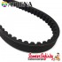 Belt Drive ATHENA (Aprilia, Benelli, Italjet, Malaguti, MBK, Yamaha Aerox, Yamaha)