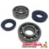 Crank, Bearing & Seal Kit (Aprillia, MBK - Yamaha JOG, Aerox and others)