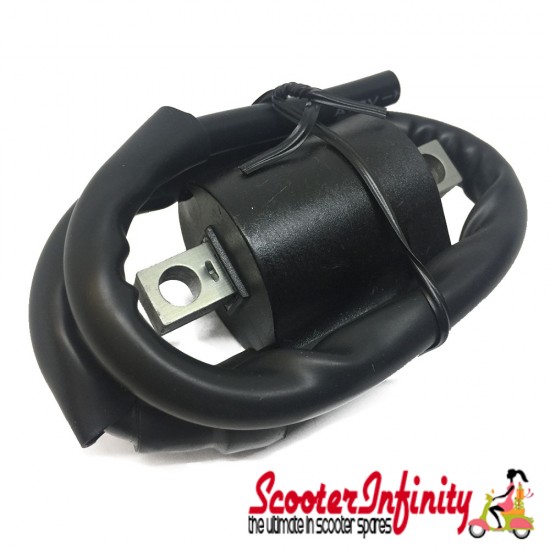 HT Coil (For Ducatti Flywheels) (Aprilia, Benelli, Italjet Dragster 50, LML Star, MBK, Yamaha Aerox, Yamaha)